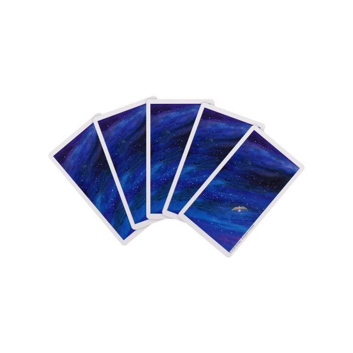 Jeu de cartes de tarot Vision Quest Native American Wisdom - Gayan S ...