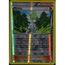 Carte Pokemon Neuve Française Pierre Reverse XY6:Ciel Rugissant 90//108