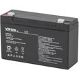 Batterie gel rechargeable 6V 12Ah Vipow sans entretien-0
