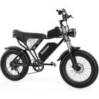 Vélo Électrique Ridstar Q20, Moteur Sans Balais 1000 W, Gros Pneus 20*4 Pouces, Batterie Amovible 48 V 20 Ah