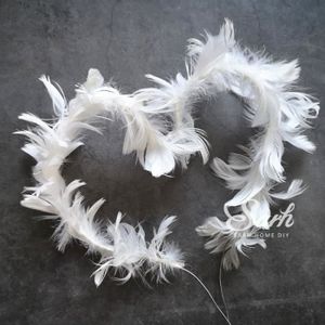 Anniversaire Fee Cdiscount