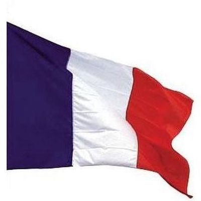 Kit du Supporter FFF - Drapeau Lunettes Maquillage Bracelet - 2 étoiles Kit du Supporter FFF - Drapeau Lunettes Maquillage Bracelet - 2 étoiles