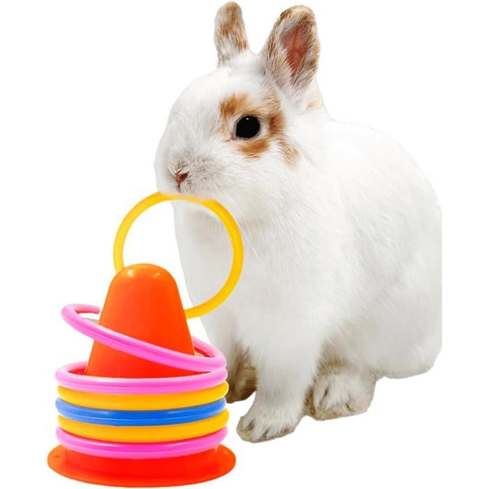 Jouets pour Lapin - Jouets déducation interactifs Anneaux ludiques pour Lapins et Jeux Amusants - pour Petits Animaux Oiseau