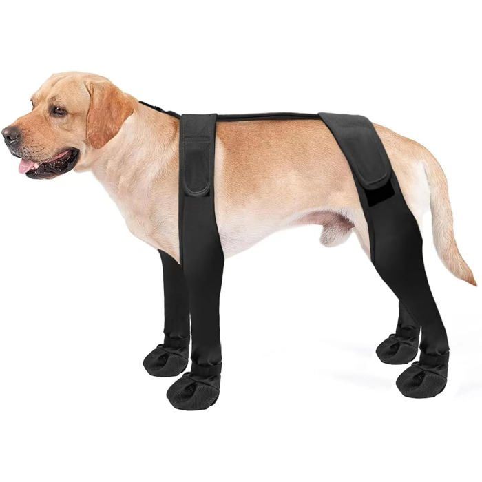 Bottes Chien Imperméables Protège-Pattes Antidérapantes Réglables Toutes Saisons Neige Pluie Randonnée Contre Froid Et Saleté