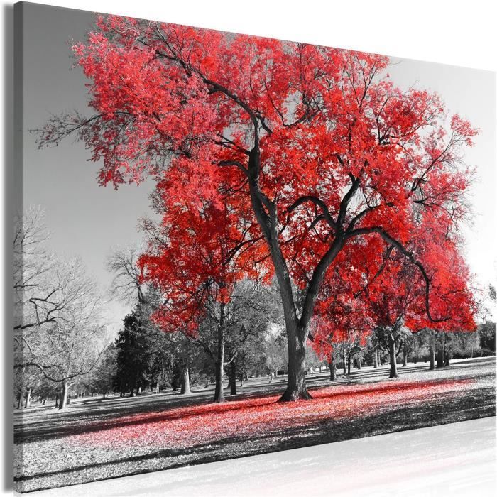 Poster Arbre Noir Et Blanc – Photo Nature 50x40cm – Décoration Murale Arttor
