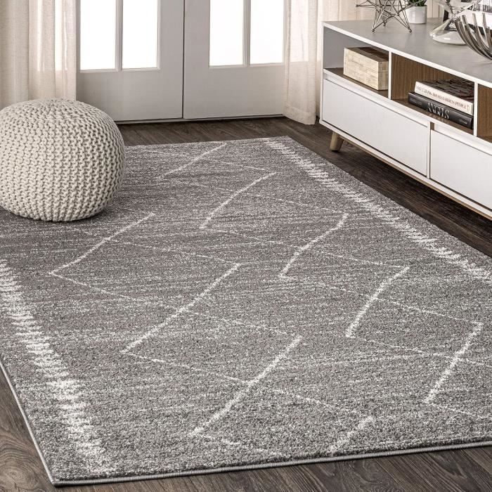 SAFAVIEH Cabana Collection CBN382F Tapis Décoratif Bohème Pour