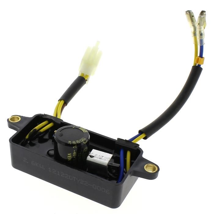 Regulateur de tension 415249001027 groupe electrogene parkside