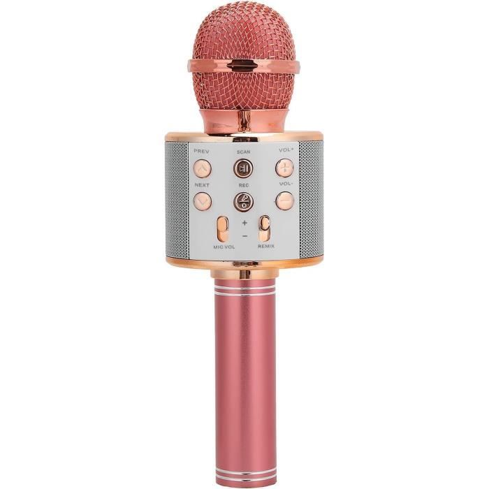 Machine à Chanter Avec Microphone Sans Fil Bluetooth 5.0 Pour Micro De  Karaoké