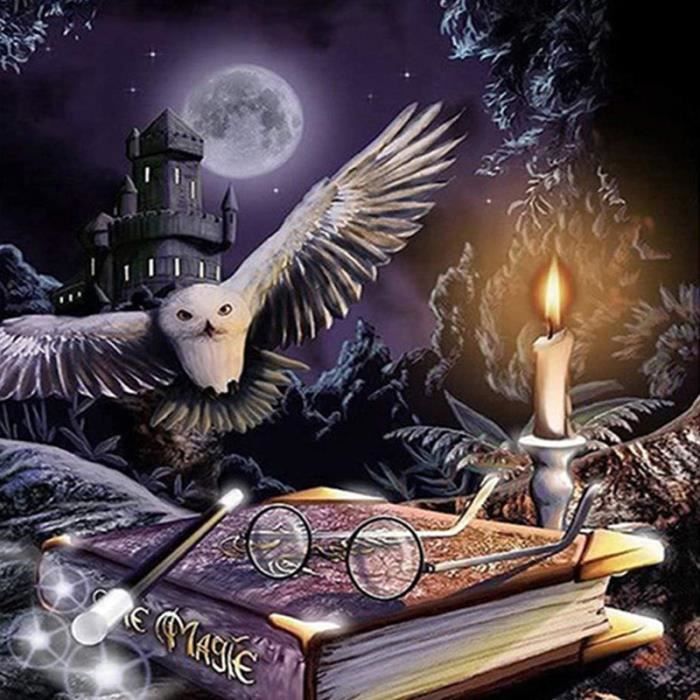 Diamant Peinture Enfant Diamond Painting Harry Potter 5d Broderie Perle Diamant Kit Stitch full Strass Complet Grande Taille Diamonds D/écoration Murale 30x40cm Sans Cadre