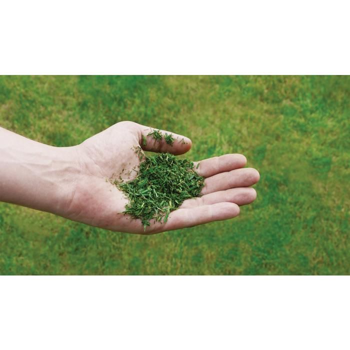 Tondeuse à Gazon Thermique Einhell GC-PM 56/2 S HW | Surface 2200 M² | Fonction 5-en-1 | Moteur OHV | Bac 80L