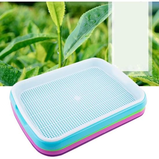 Lot De 2 Bacs à Plantes Herbe à Chat Avec Grille - Plateau Germination Gris-Vert + Bleu-Blanc