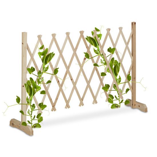 Lot 50 Tuteurs Tomates Bambou Noir 60cm Avec Fil De Fer - Support Plantes Légumes & Fleurs Relaxdays