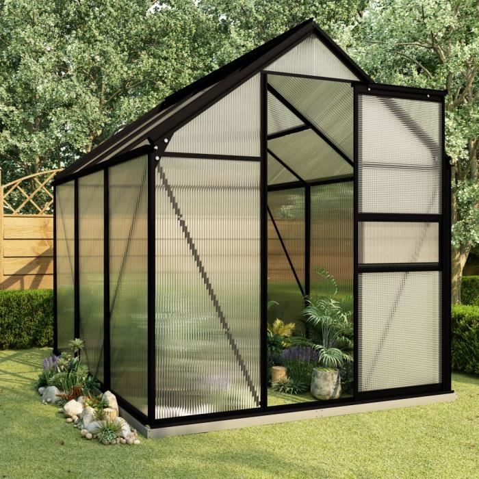 COCO Serre avec cadre de base Anthracite Aluminium 11,55 m³