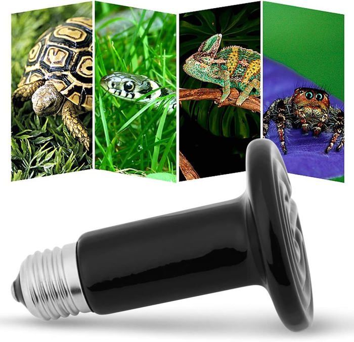 Meilleurs prix pour Lampe chauffante, lampe chauffante pour tortues, terrarium, ampoule en céramique, lampe chauffante infrarouge, terrarium, chiot, am