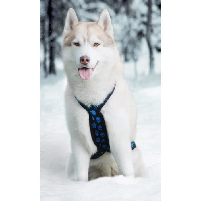 Playmobil Harnais Blanc Et Rouge Pour Chien Léger Jaunissement - Foto 11