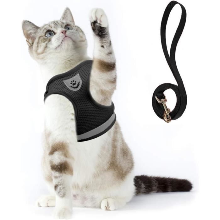 Harnais store gilet chat