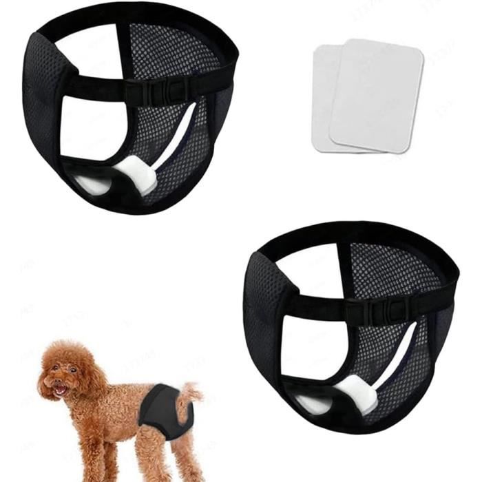 2 pcs Culotte Chien Regle Culotte Chaleur Chien Femelle Couches