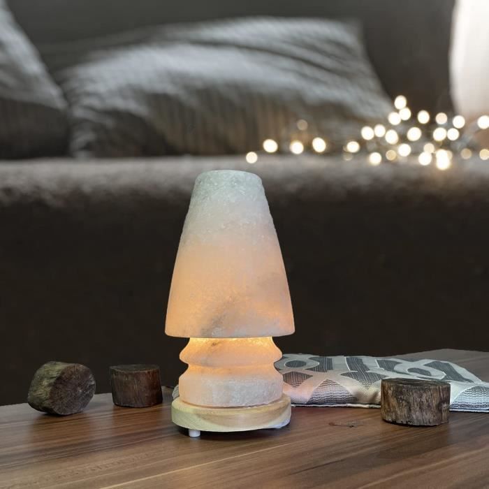 Grande Elegante Lampada Di Sale Himalayana Lucidata Cristalli Naturali Per La Lu