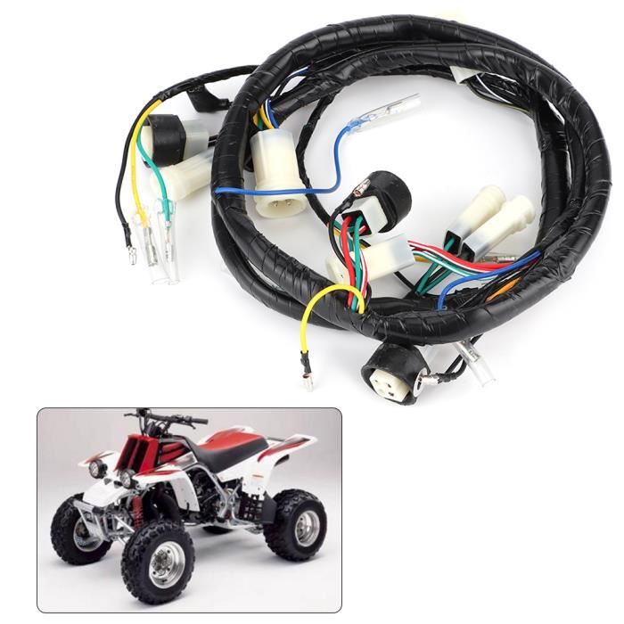 Faisceau de Câbles Quad, Remplacement du Kit de Faisceau de Câbles Quad CDI pour ATV Quad Dirt Bike Go Kart Pièces