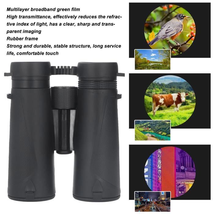 PENTAX SP 12X50 : jumelles à prismes de Porro dotées de verres BAK4