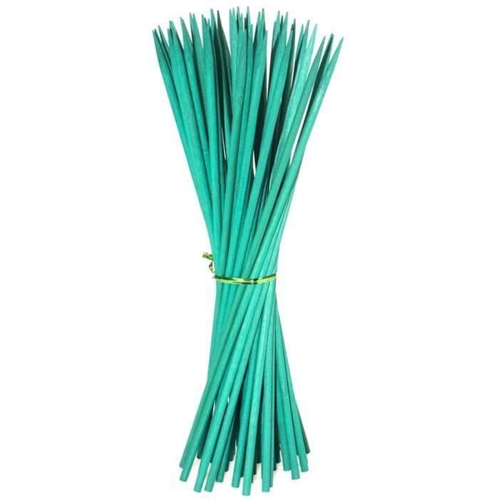 Kit De 50 Tuteurs Pour Plantes - 38 Cm En Bois Vert + 30 Yards Ruban Papier + 50 Attaches - Pour Plantes Grimpantes, Orchidées, Pots