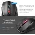 Souris Sans Fil 2.4G, VicTsing 2400 CPI Souris Optique Mobile avec Récepteur Nano USB 6 Boutons 2400 DPI (5 Niveaux Réglables)-1