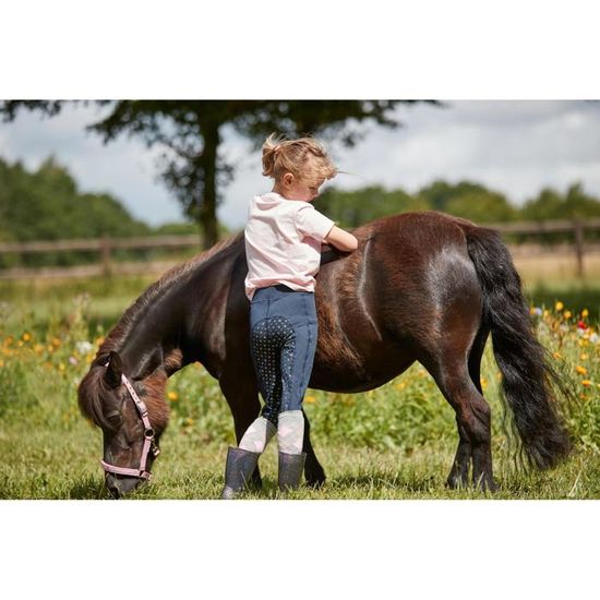 Tooloflife Petit Licol Classique Confortable Pour Cheval Double Couche En Nylon épais Rembourré Doux Pour Poulain, Poney, âne