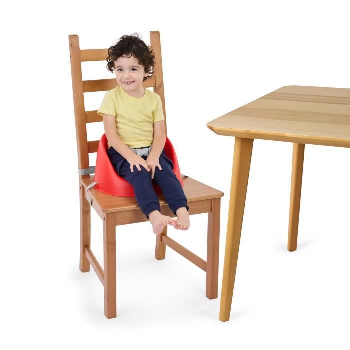 Siège Arrière Vélo Enfant 6 Mois à 6 Ans Avec Dossier, Accoudoirs Et Ceinture - Rouge/Bleu