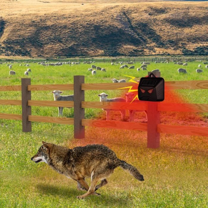 Répulsif Ultrason Solaire Pour Oiseaux Gardigo – Épouvantail électronique Avec Lumière