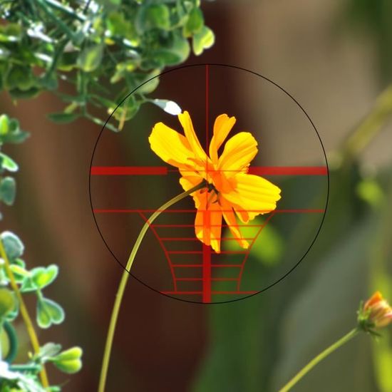 Lunette De Visée 4-12x50 Avec Réticule Mil-Dot éclairé Rouge/vert + Viseur Holographique Et Laser - Pour Chasse, Airsoft