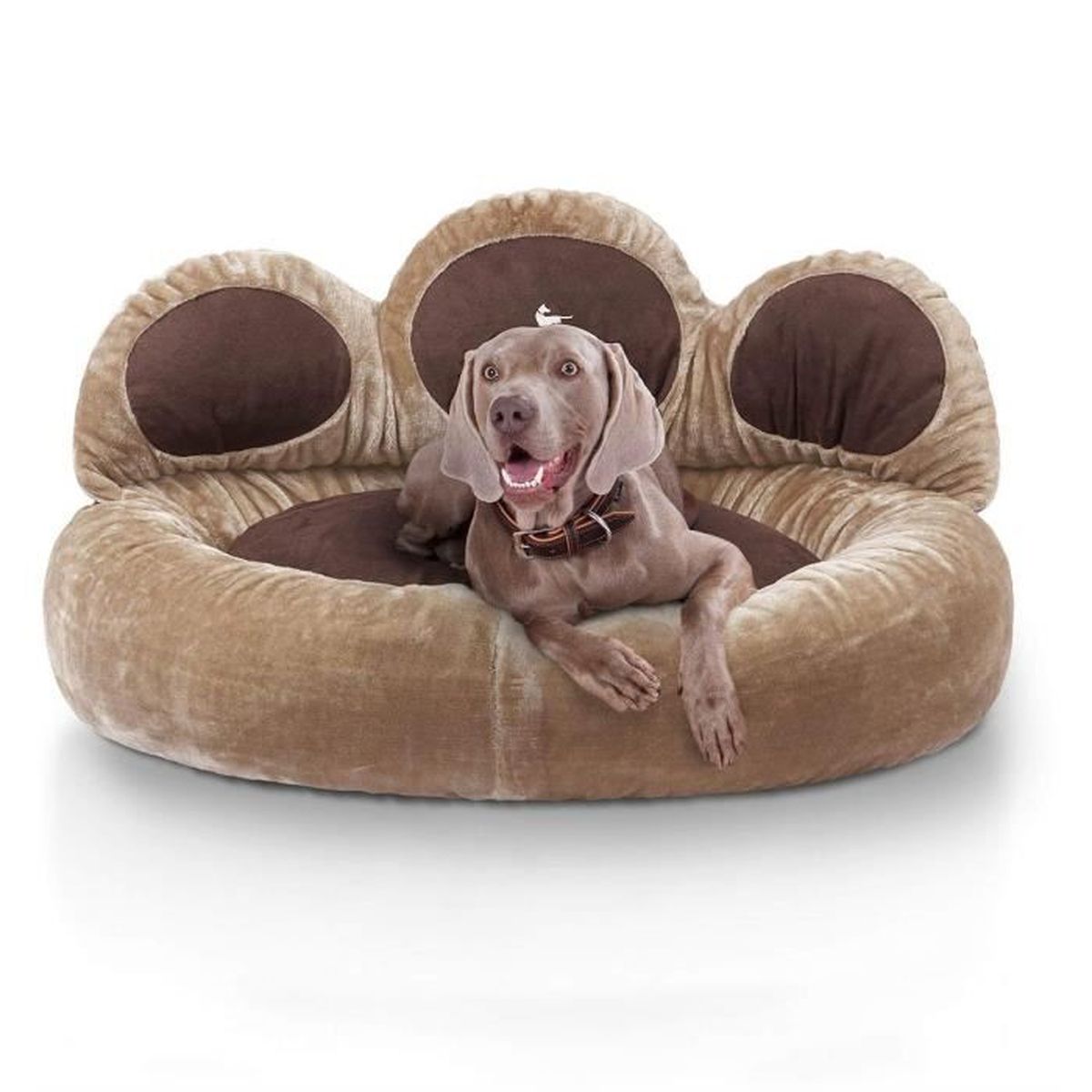 Recherche Knuffelwuff Lucky Lit Pour Chien Pour Intérieur Et