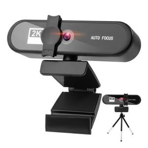 WEBCAM Tapez B-Webcam USB avec Microphone Antibruit Intég