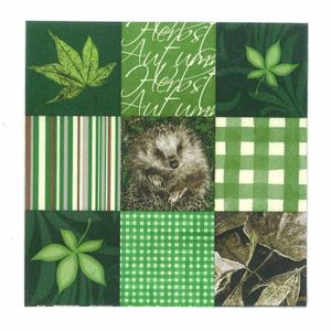 Home Collection Maison Cuisine Set 40 Serviettes de Table Jetables 3 Plis Motif Paquet Cadeau de No/ël