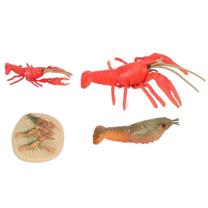 Caisson à homard en plastique Preface Plast - 60 L, résistant au froid