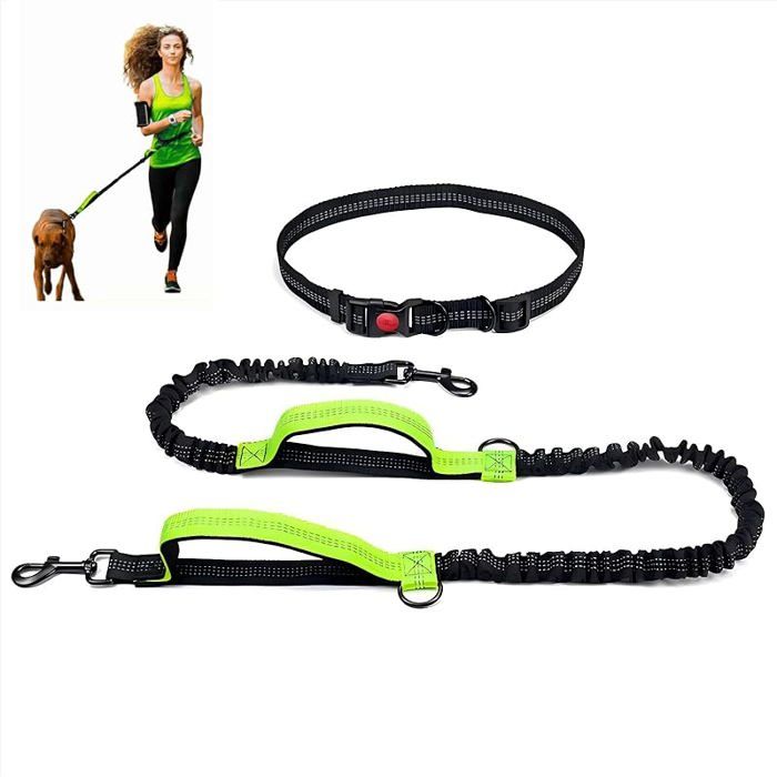 Laisse Pour Chien Main Libre