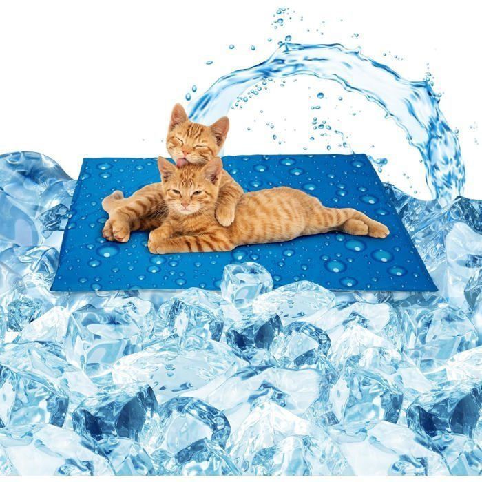 Tapis Rafraichissant Chienrafraîchissant Gel Non-Toxique Moyen Tapis Refroidissement Chien- Résistant Aux Rayures(50x40cmBleu)