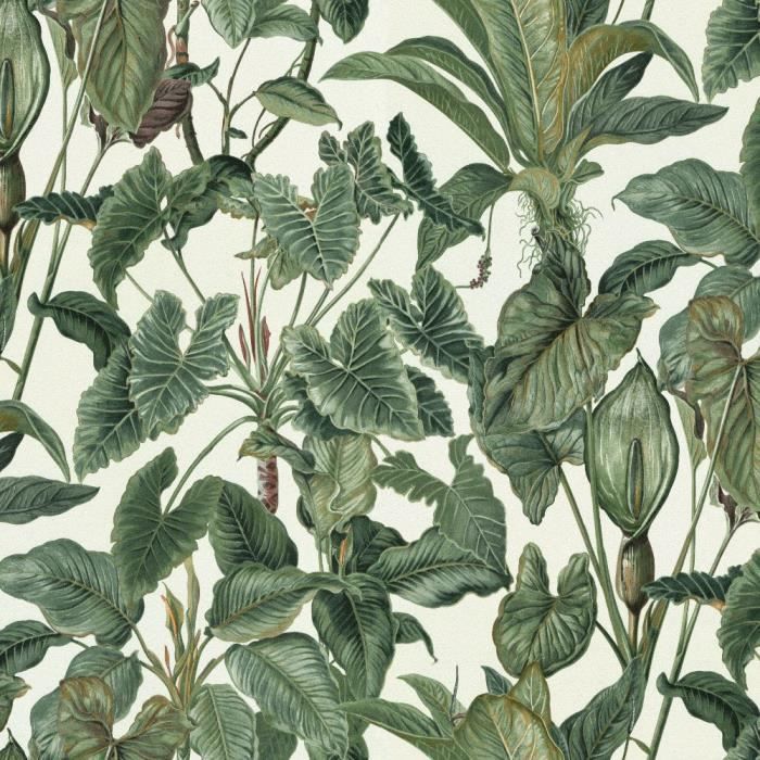 Avoir Images Erismann Papier Peint Paradise Motif De Feuilles Tropicales Vert dernière par