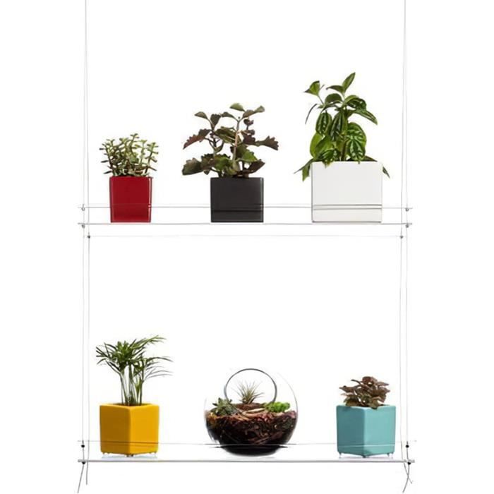 Lot De 2 étagères De Fenêtre En Acrylique Transparent - Support Ventouse, Charge 4,5 Kg - Pour Plantes, Livres, Décorations