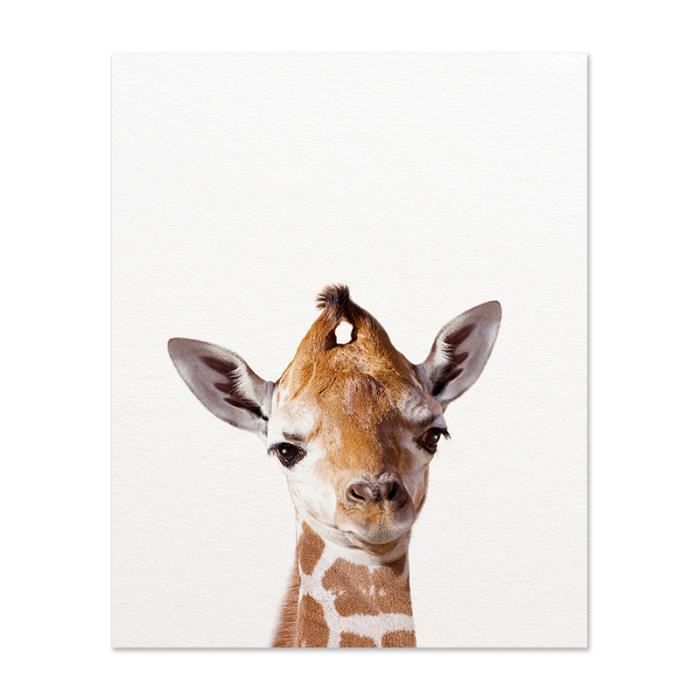 Animaux de Safari affiche animaux pour enfants | Poster Store CA