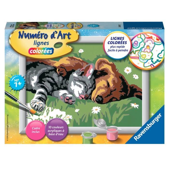 Peinture Au Numero Numero D Art Lignes Colorees Comme Chien Et Chat Aille Unique Coloris Unique Cdiscount Beaux Arts Et Loisirs Creatifs