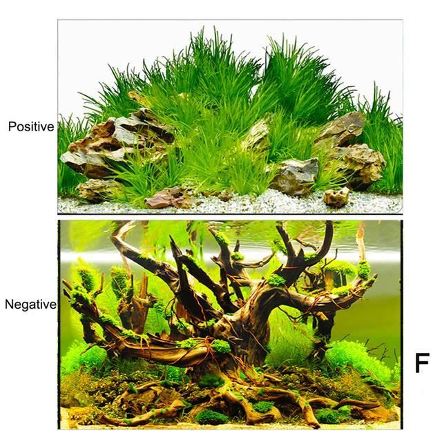 Meilleurs prix pour Décoration d'aquarium - Autocollant 3D de fond d'aquarium - Paysage océanique - Double face - 50x80cm