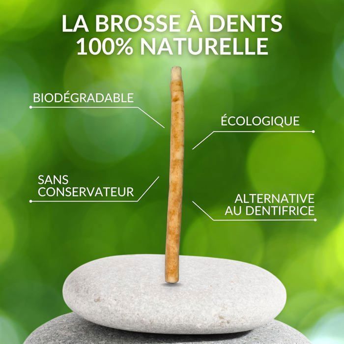 Lot De 10 Siwak Naturels Al-Latafah - Brosse à Dents 100% Végétale - Soin Buccal