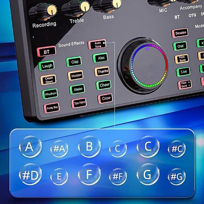 Mini Changeur de Voix - ZJCHAO - Portable - Multi Fonction - 8 Effets