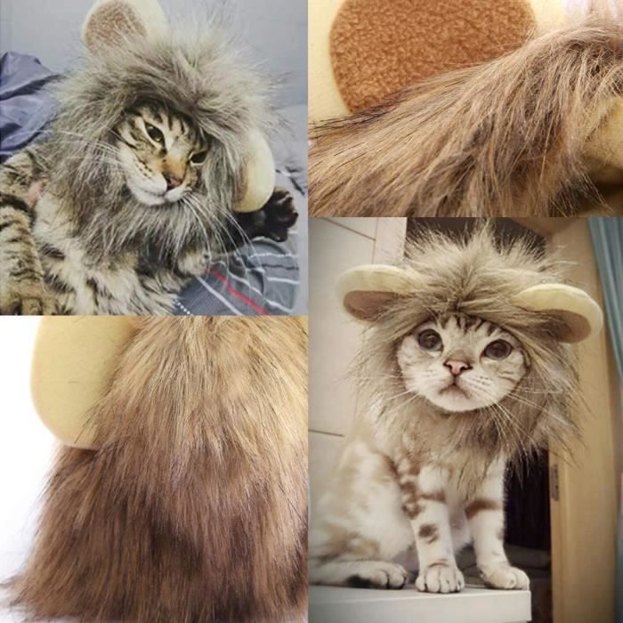 Costume Halloween Pour Chien/chat - Déguisement Araignée à 8 Pattes, Réglable, Polyester (taille S, Gris) - 6
