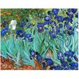 Legendarte - Tableau, Impression Sur Toile - Iris Vincent Van Gogh cm. 50x70-0