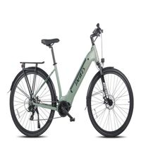Vélo électrique FAFREES FM9 - 250W batterie 540WH autonomie 110KM - Vert