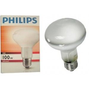 Lampe 100W Philips