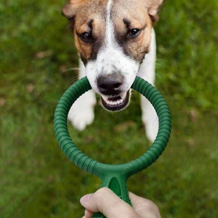 1 pièces brosse à dents délicate à pour animaux de compagnie à pour chat soins dentaires pour KIT DE PRODUITS DE SOIN - HYGIENE