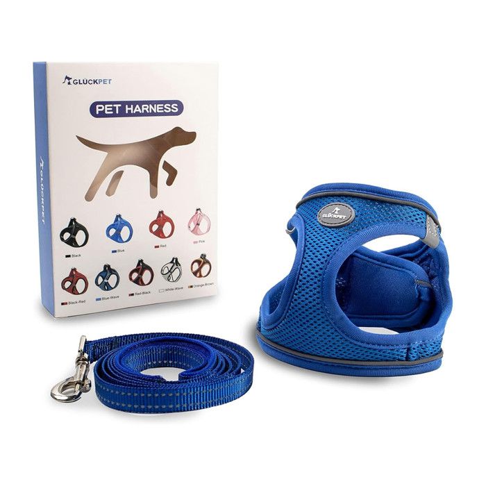 Comparer les prix de GLÜCKPET Harnais et laisse réfléchissants pour petits chiens Taille S - Nylon respirant laisse 14 m