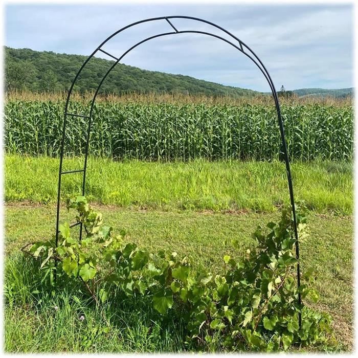 Arche De Jardin En Métal 240x220 Cm - Pour Plantes Grimpantes, Roses - Décoration Mariage, Fête - Base Incluse - Vert, Blanc, Noir